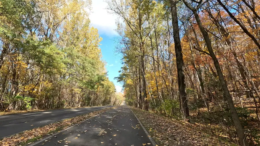 Fall cycling, long shadows